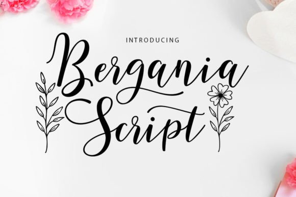 Bergania Script: A Modern Font for Creative Expression