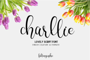 Charllie Script: A Feminine Touch in Design